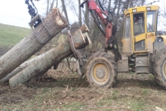 Holzarbeiten Schmidtgartenbau