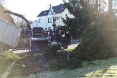 Holzarbeiten Schmidtgartenbau