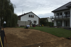 Rollrasen im Garten