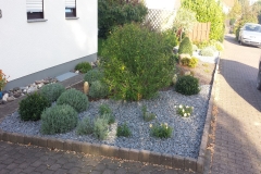 Vordergarten Beispiel